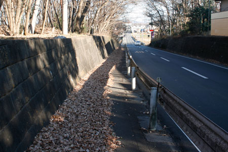 枯れ葉で覆われたホテル和好裏の坂道の歩道 [2011年12月23日撮影]