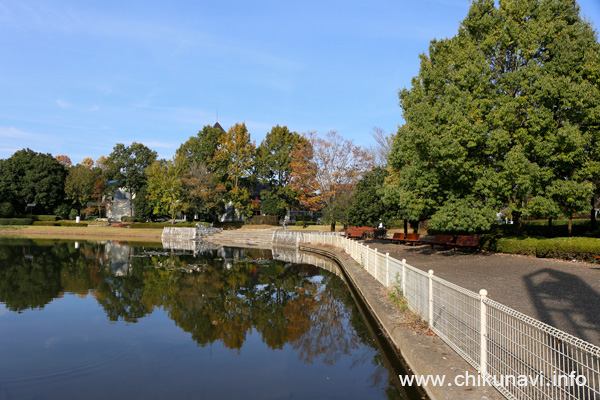 県西総合公園の人工池 [2015年11月1日撮影]