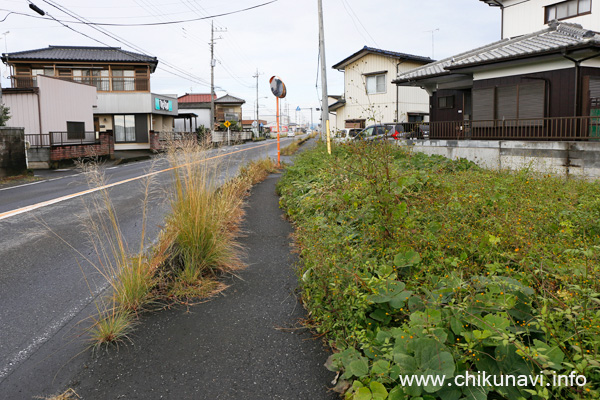 県道筑西三和線の一本松付近の歩道 [2023年10月29日撮影]