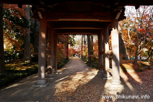 最勝寺の紅葉 [2024年12月7日撮影]