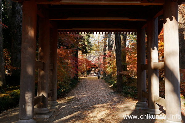 最勝寺の紅葉 [2024年12月7日撮影]