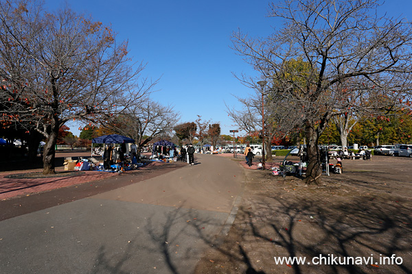 秋季いばらき都市緑化フェスティバル [2025年11月15日撮影]