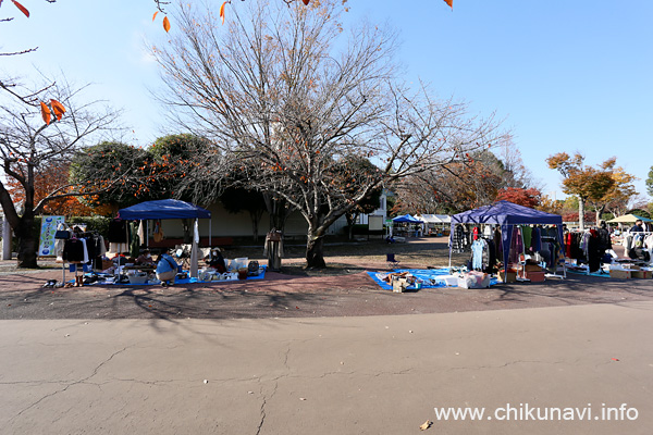 秋季いばらき都市緑化フェスティバル [2025年11月15日撮影]