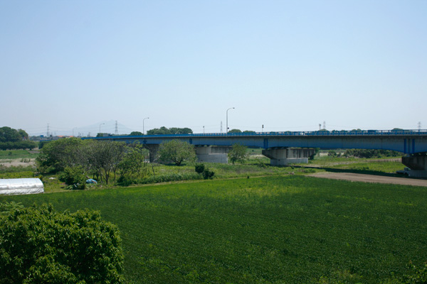 新川島橋