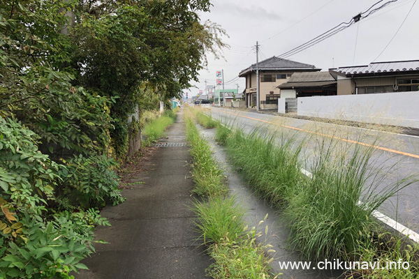 草がボウボウだった筑波街道の歩道 [2024年9月25日撮影]