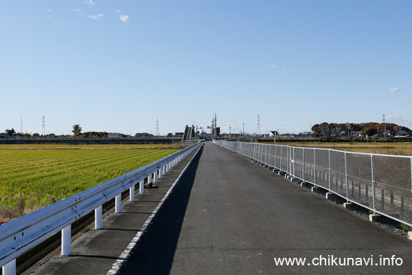 伊讃小学校から最勝寺に向かう道 (最勝寺は右奥林内)