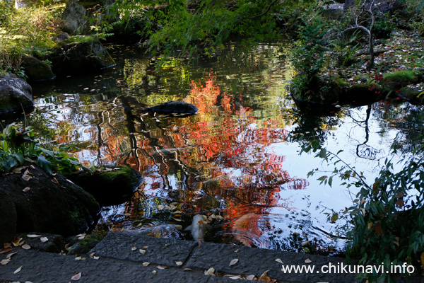 最勝寺の紅葉