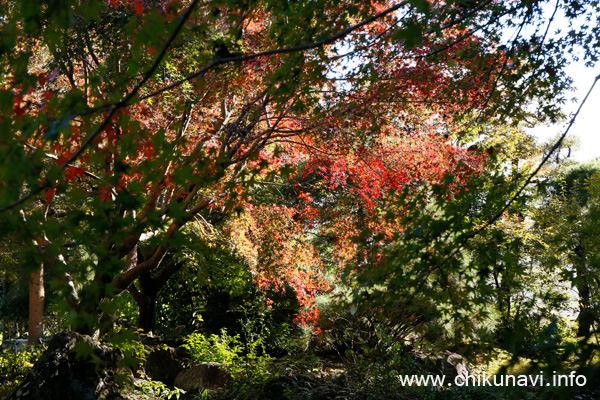 最勝寺の紅葉