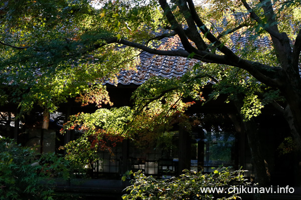 最勝寺の紅葉