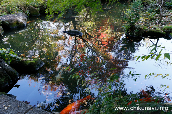 最勝寺の紅葉