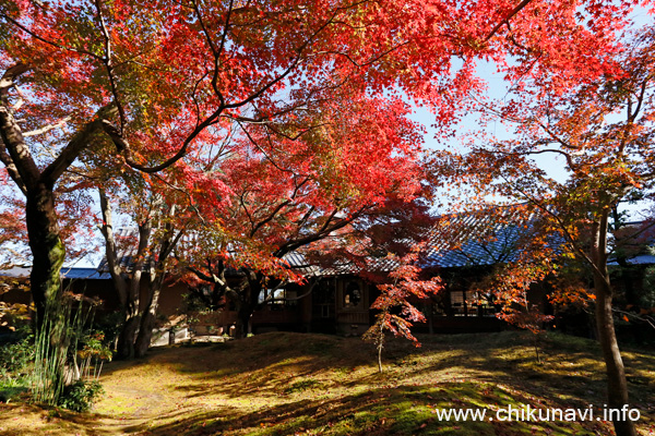 最勝寺の紅葉