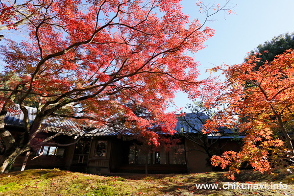 最勝寺の紅葉