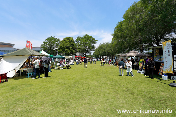 ふれあいアジサイ祭り [2025年6月7日撮影]