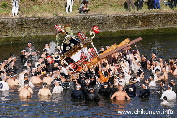 下館祇園まつり 明治神輿の川渡御 [2025年7月27日撮影]