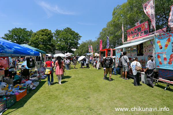 来場者で一杯のふれあいアジサイ祭り [2026年6月13日撮影]