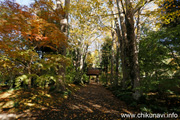 最勝寺の紅葉