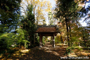 最勝寺の紅葉