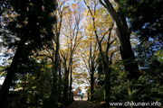 最勝寺の紅葉