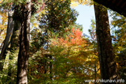 最勝寺の紅葉