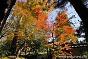 最勝寺の紅葉