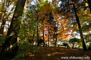 最勝寺の紅葉