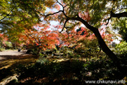 最勝寺の紅葉