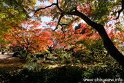 最勝寺の紅葉