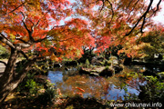 最勝寺の紅葉