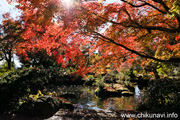 最勝寺の紅葉