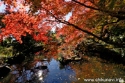 最勝寺の紅葉