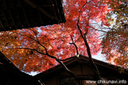 最勝寺の紅葉