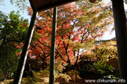 最勝寺の紅葉