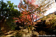 最勝寺の紅葉