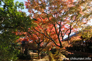 最勝寺の紅葉