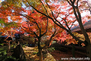 最勝寺の紅葉