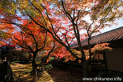 最勝寺の紅葉