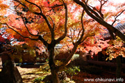 最勝寺の紅葉