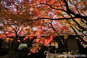 最勝寺の紅葉