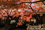 最勝寺の紅葉