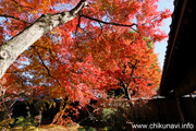 最勝寺の紅葉