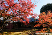 最勝寺の紅葉