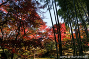 最勝寺の紅葉