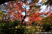 最勝寺の紅葉