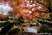 最勝寺の紅葉