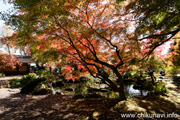 最勝寺の紅葉