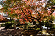 最勝寺の紅葉