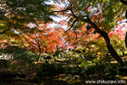 最勝寺の紅葉