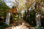 最勝寺の紅葉