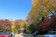 最勝寺の紅葉