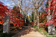 最勝寺の紅葉